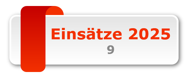 Einsätze 2025